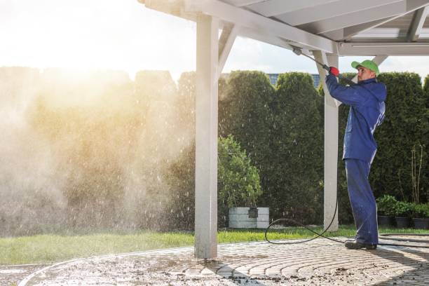 Best Gutter Cleaning and Brightening in Fate, TX